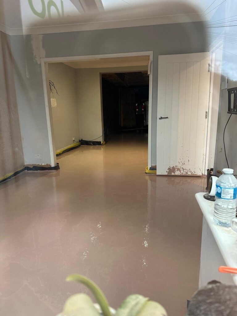 WhatsApp Image 2024 11 02 at 3.34.23 AM